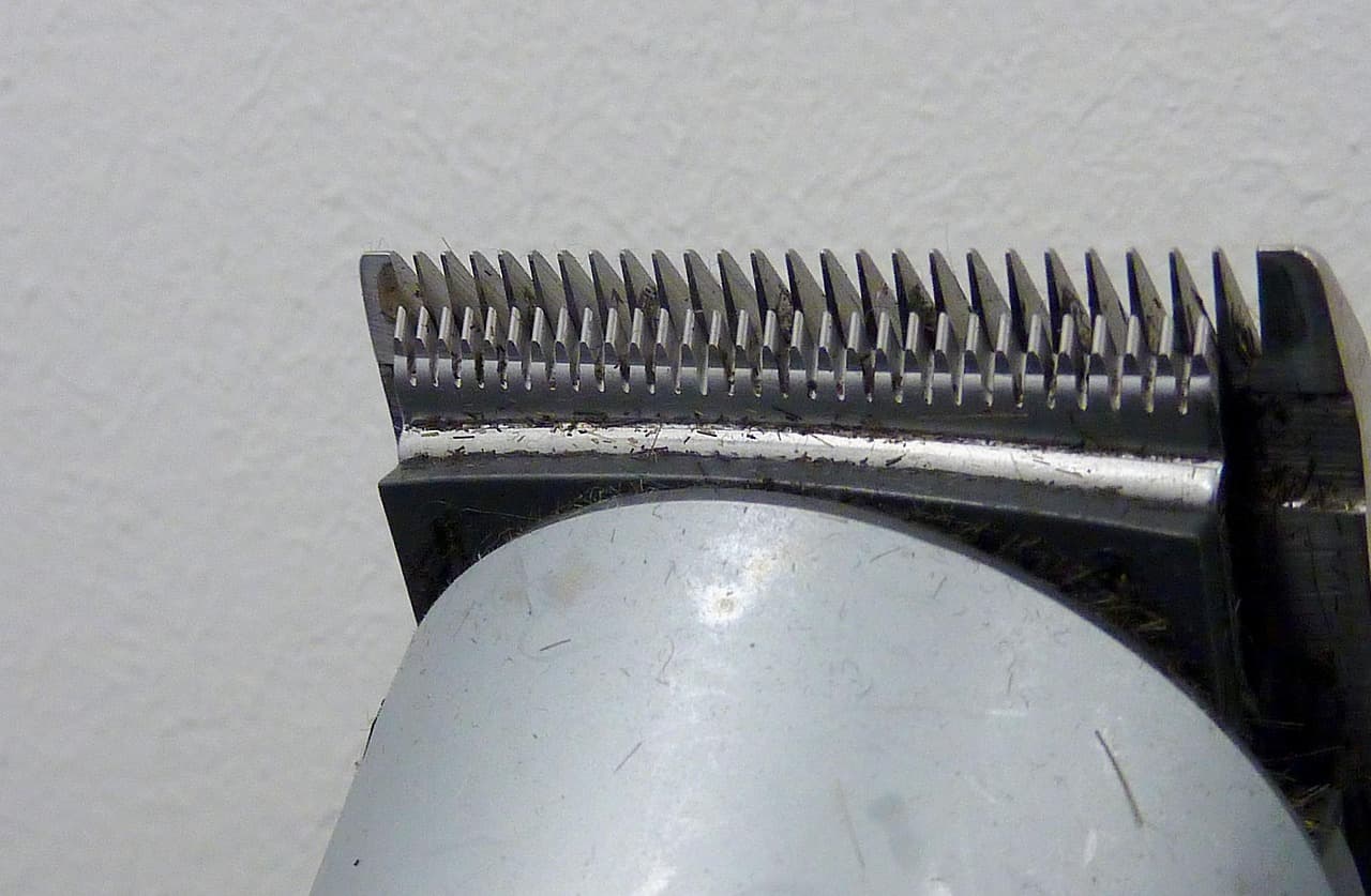 Close-up of a trimmer blade for beards and edges